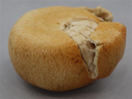 A Japanese coloured ivory model of a partially peeled satsuma, early 20th century, 7cm.